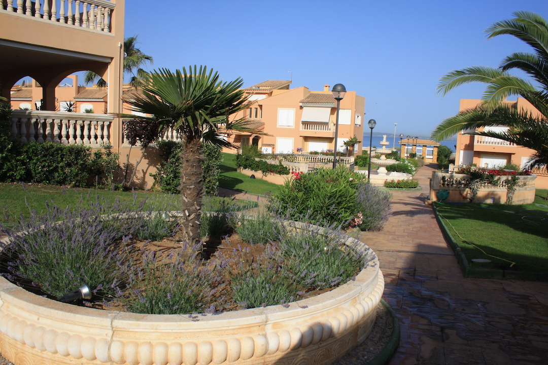 Diseño y mantenimiento de jardín en Son Verí, Llucmajor (Mallorca) 4